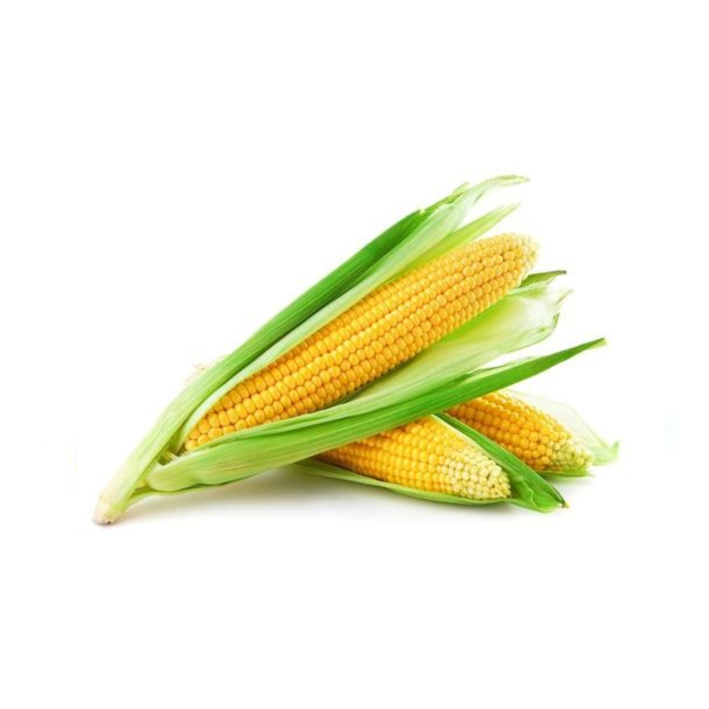 Jagung